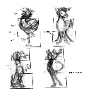 wp06126a5e.png
